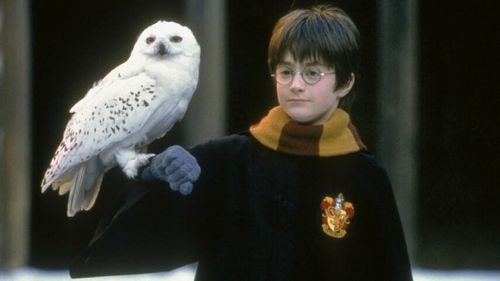 A 3D, 4K Re-Release of Harry Potter and the Sorcerer’s Stone Is Coming to China, Post-Corona