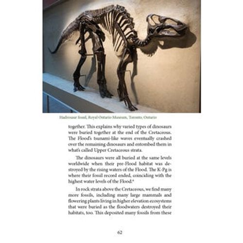 Dinosaurs: Exploring Real-Life Dragons of History