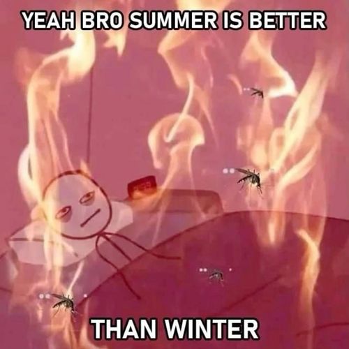 an image of a fire with text that reads yeah brod summer is better than winter