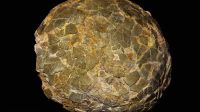 Fossilized eggs of the largest known dinosaurs have been unearthed in an unexpected place - CNN