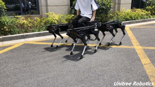 宇树科技机器狗面向个人