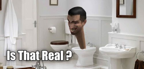 Skibidi Toilet in Real Life