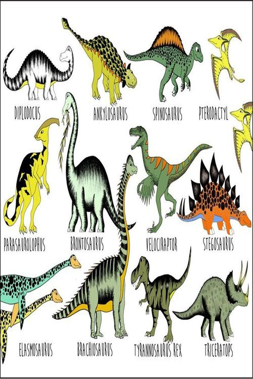 Printable Dinosaur Pictures With Names Dinosaurs Names And Pictures, Dinosaur Names, Jungle Themed Room, Dinosaur Types, Dinosaur Name, Dinosaur Posters, Dinosaur Fabric, Dinosaur Pictures, Dinosaur Illustration