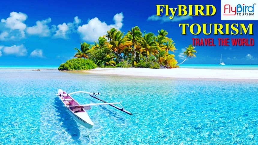 Flybird Tourism Mockup