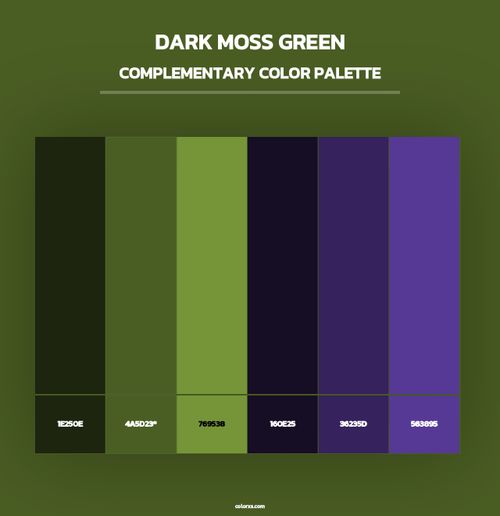 Dark Moss Green - Complementary Color Palette