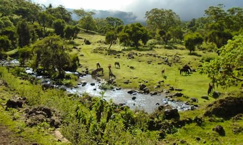 Bale Mountains National Park - Hiking Trails in Ethiopia