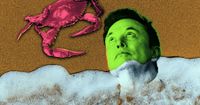 Island Littered With Debris After Elon Musk’s Starship Explodes Overhead