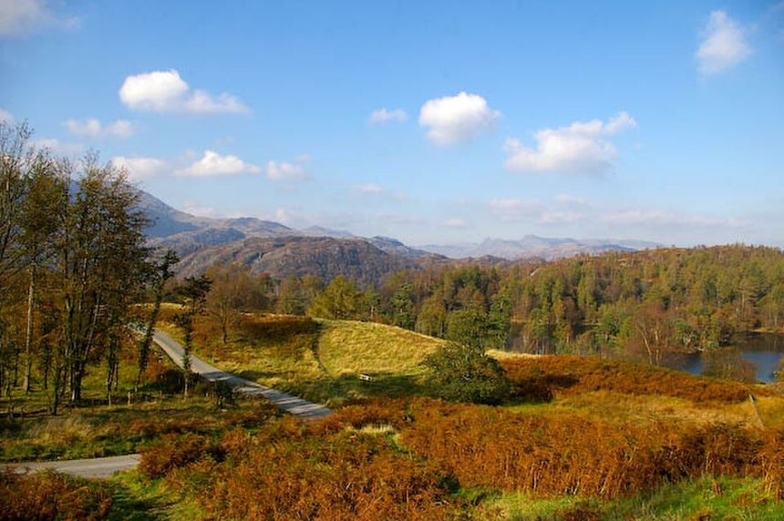 Bench overlooking Tarn Hows