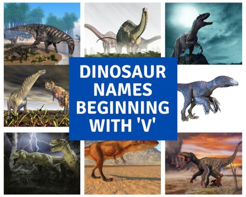 Dinosaur Names Beginning with V