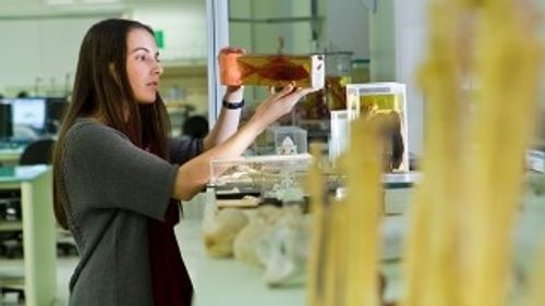 Student in a biology lab
