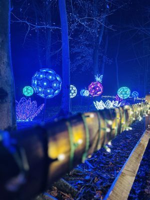 Anne-Ellen Christmas Tree Farm and Shop