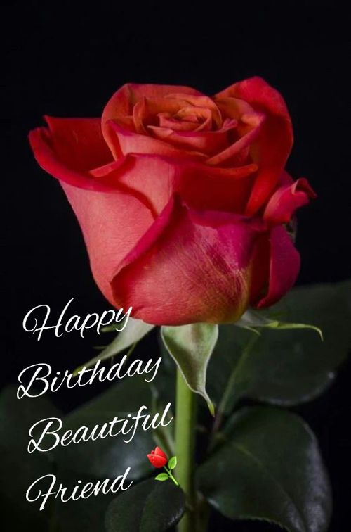 a single red rose with the words happy birthday beautiful friend on it's stem