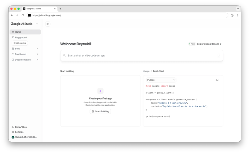 Google AI Studio dashboard