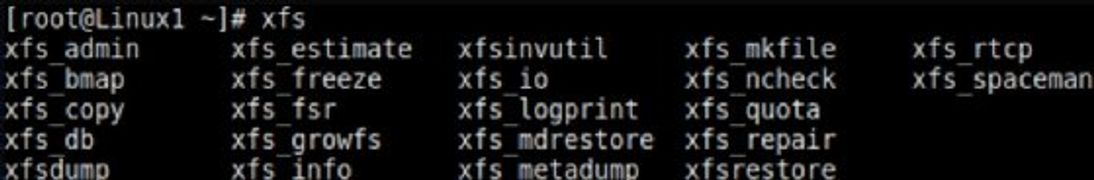 Figure 4. La liste des outils XFS.