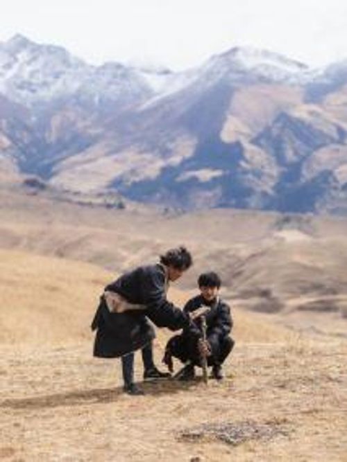 丁真的自然笔记