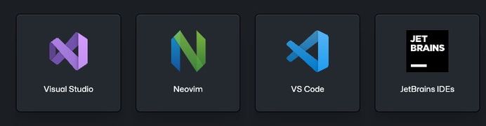 GitHub Copilot使用-图2