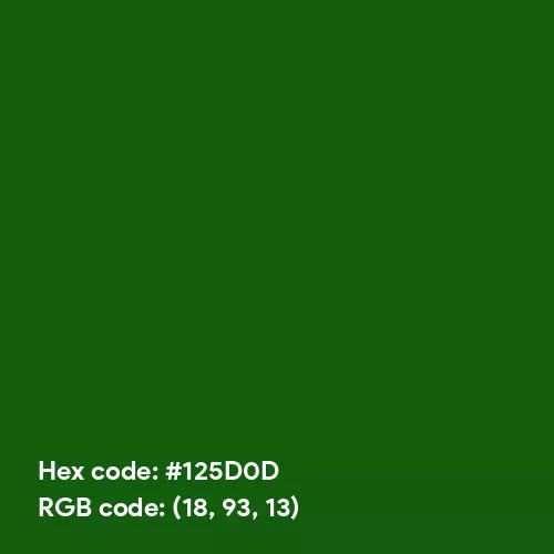 Dark Forest Green (Hex code: 125D0D) Color Thumbnail