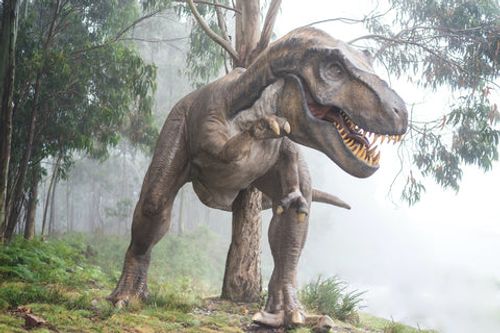 5 Most Popular Dinos That Roamed the Earth | Womple Studios | Womple Studios