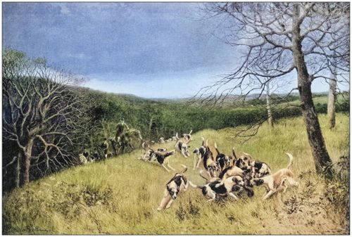 antique photo of paintings: hunting - fox hunting painting stock illustrations