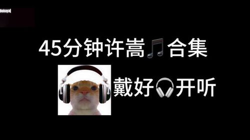 45分钟许嵩音乐合集（纯享版）