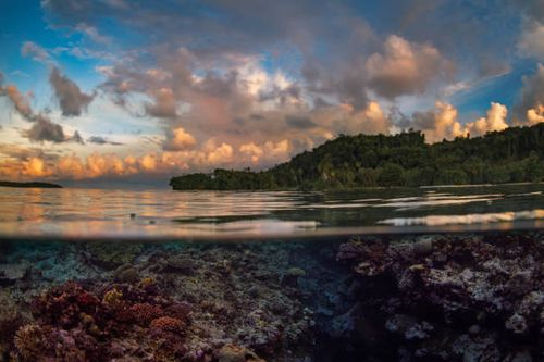  Top Places to Visit in the Solomon Islands