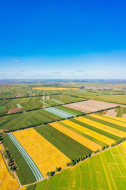 黑龙江省齐齐哈尔市绥满高速与东北黑土地秋季丰收场景航拍图片下载