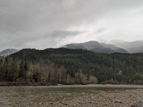 Brackendale Eagles Provincial Park