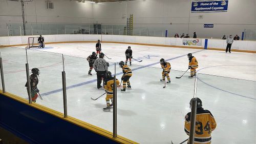Chic Murray Arena