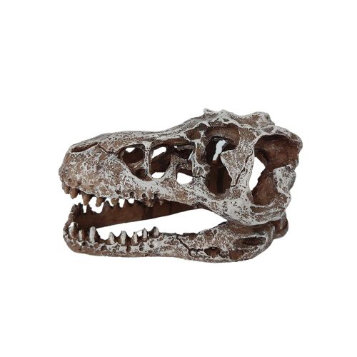 Aquarium Decoration Skull Dinosaur Head, Resin T-rex Skull Skeleton Ornament, Fish Tank Hollow Reptiles Hideout Statue Dec...