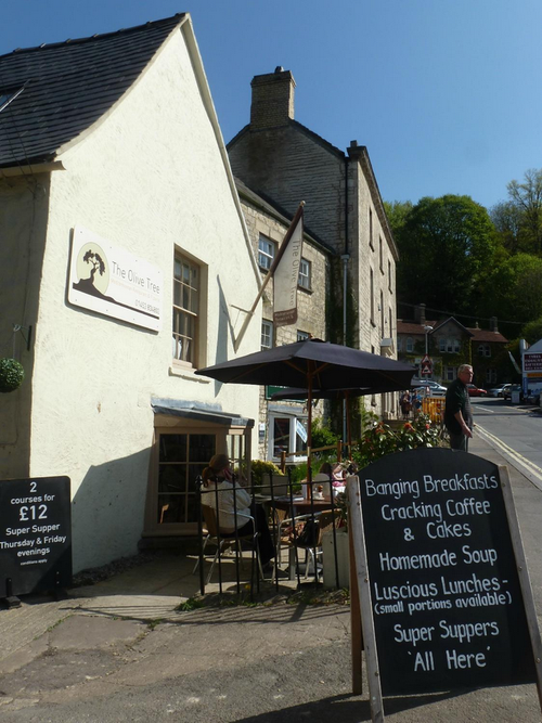 The Olive Tree