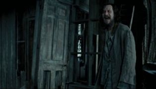 Create meme: Azkaban, harry potter gif, Blackie Harry Potter