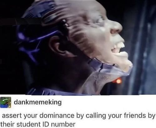 Assert your dominance - meme