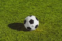 Argentina Study Finds Online Betting Searches Rose 350% During 2026 FIFA World Cup Matches - iGamingToday.com - News, insights and Slots review