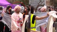 Black student erupts on anti-Israel 'White libs' for blocking path on campus: 'Cosplaying as the oppressed' | Fox News