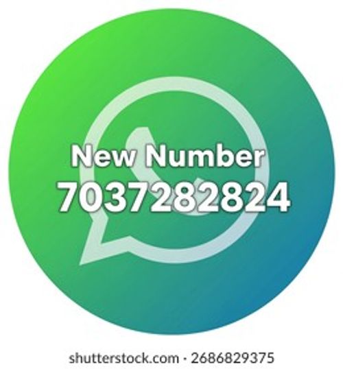 WhatsApp profile picture, which says new number 7037282824