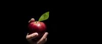 Supervised Learning Use Cases: Low-Hanging Fruit in Data Sci