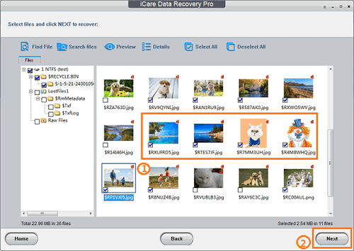 iCare Format Recovery Pro – 数据恢复软件[Windows][$69.99→0]
