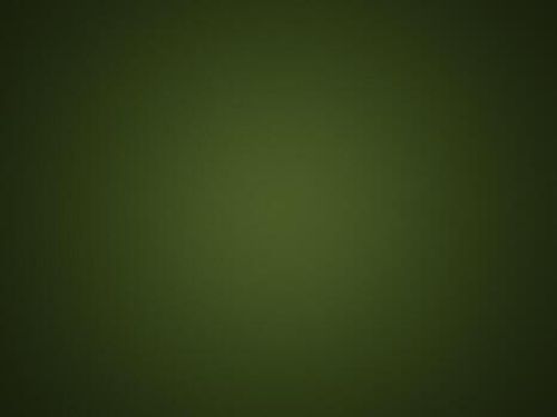 grunge dark olive green color texture photo