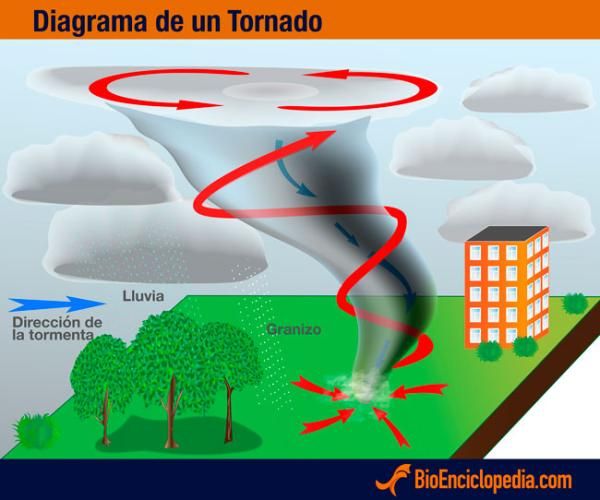 Tornado - Definición de tornado