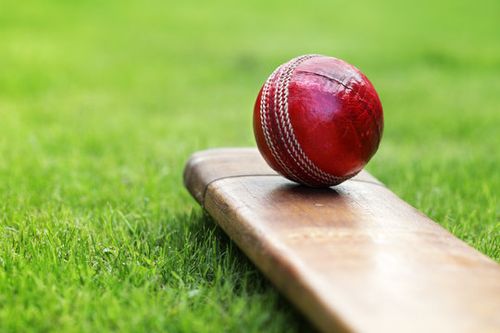 Cricket bat and ball
