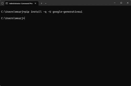 如何访问和使用Google Gemini API密钥（附示例）