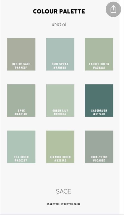 the color palette for sage green