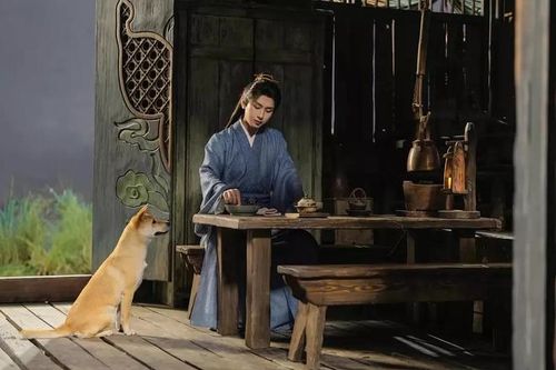 成毅出演的五部古装剧，两部爆火三部扑街你看过哪几部？