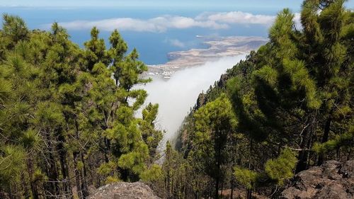 Parque Natural de Tamadaba
