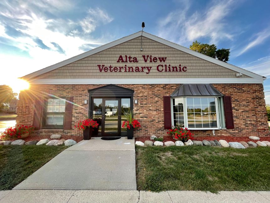 about our veterinary practice  Greenfield, WI