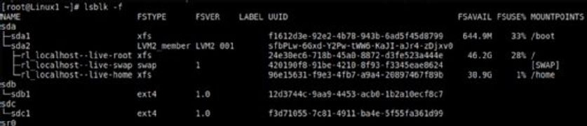 Figure 2. Affichez tous les équipements de stockage et toutes les partitions à l'aide de la commande lsblk -f.