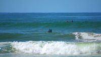 Surfing Videos, Download The BEST Free 4k Stock Video Footage & Surfing HD Video Clips