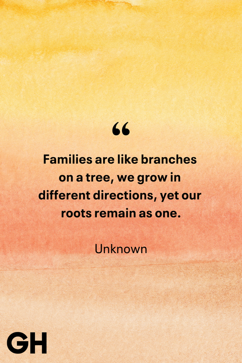 family quotes unknown