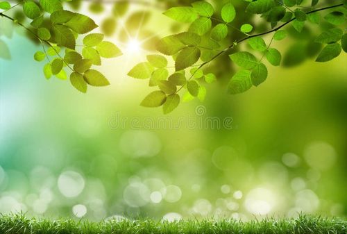 Eco nature / green and blue abstract defocused background with sunshine. Nature stock images, royalty-free photos and pictures