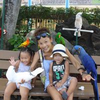 LPT If you want to distract your kids with videos, play ones taken at home of their family and pets. It's just as effective and even more rewarding!